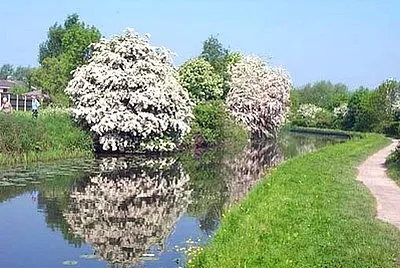 Erewash Canal