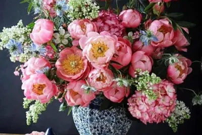 flores