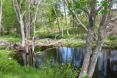 The fishing hole