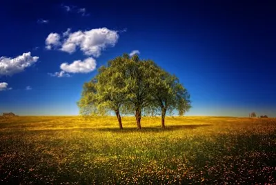 Paisagem jigsaw puzzle