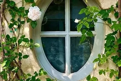 flores