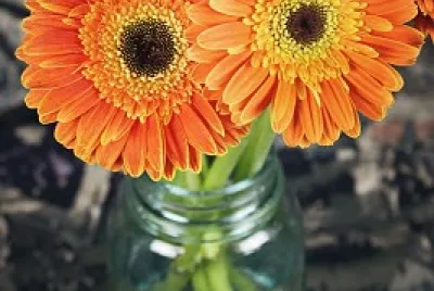 פאזל של flores