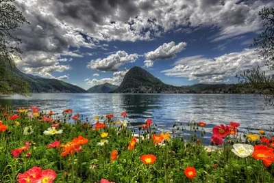 natureza jigsaw puzzle