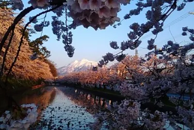 Cerezos en JapÃ³n jigsaw puzzle