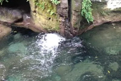 Naturaleza