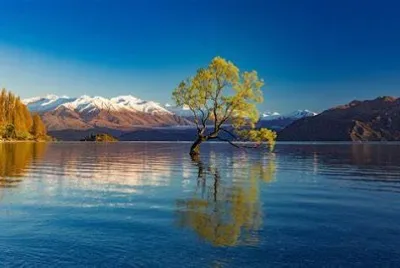new zeland