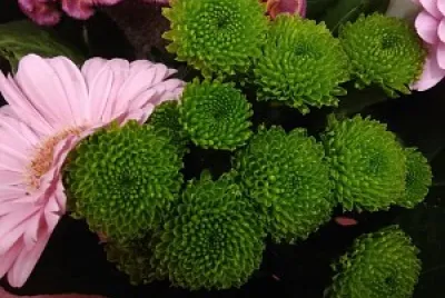 Bouquet fleurs