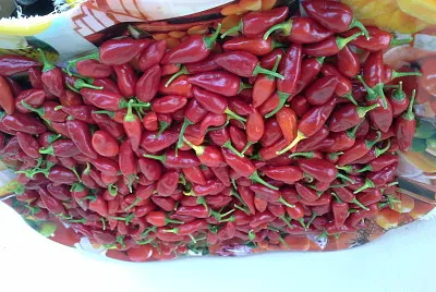 RÃ©colte de piments