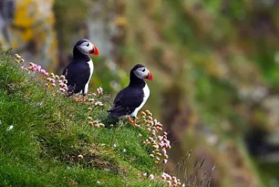 Paisajes y aves