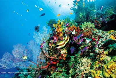 4 jigsaw puzzle