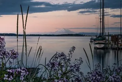 flores jigsaw puzzle