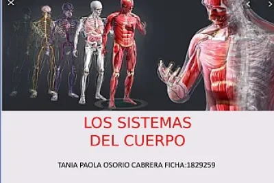 TEJIDO ANIMAL