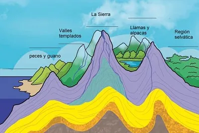 PISOS ECOLOGICOS