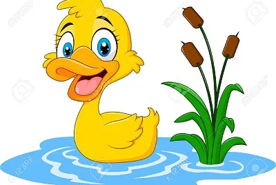 pato