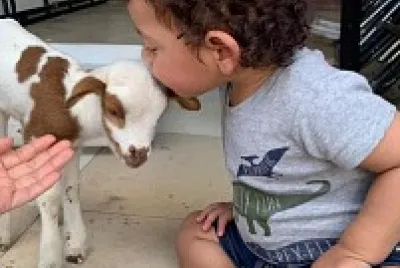 AMOR POR LOS ANIMALES