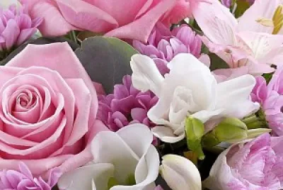 flores