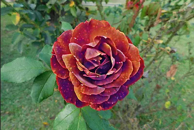 ghjjkjkduyj365214 jigsaw puzzle