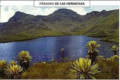 las hermosas