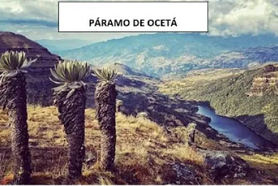 ocetÃ¡s
