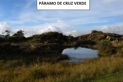 cruz verde