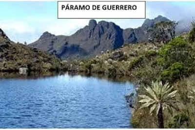 guerrero