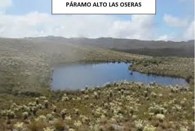 oseras