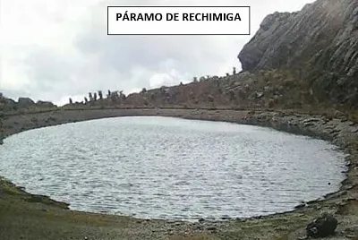 rechimiga