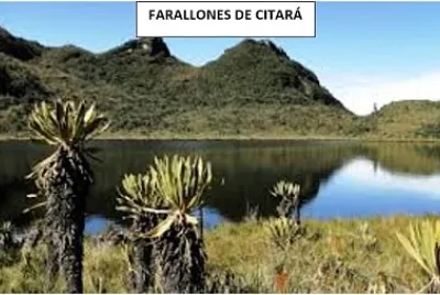 farallones de citara