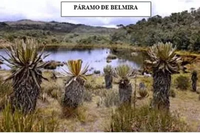 belmira