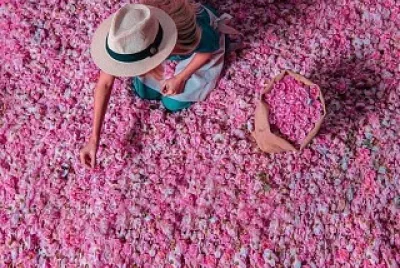 flores jigsaw puzzle
