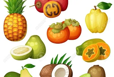 alimentos