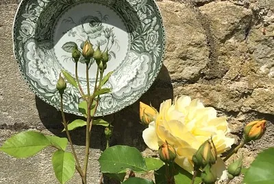 flores jigsaw puzzle