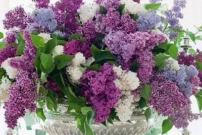 flores jigsaw puzzle