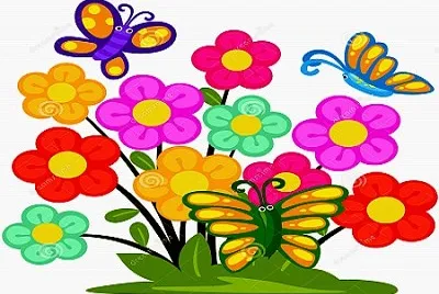 draw