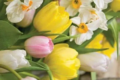 fleurs jigsaw puzzle