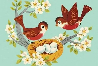 Pareja en Nido