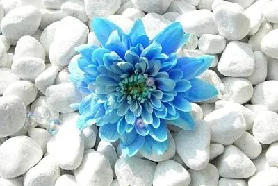 imagem jigsaw puzzle