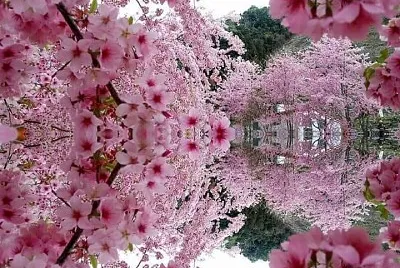 imagem jigsaw puzzle