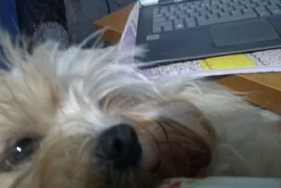 Isto Ã© Home office?