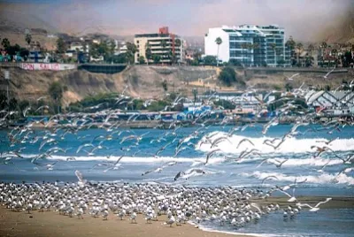 playa 2 jigsaw puzzle