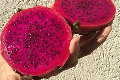 frutas