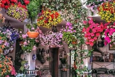casa jardin