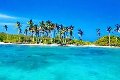 morrocoy