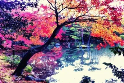 4 jigsaw puzzle