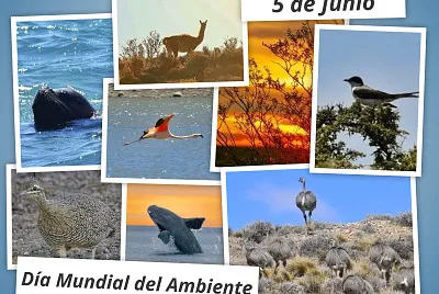 DÃ­a del Ambiente