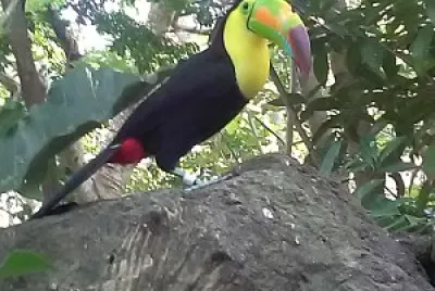Naturaleza