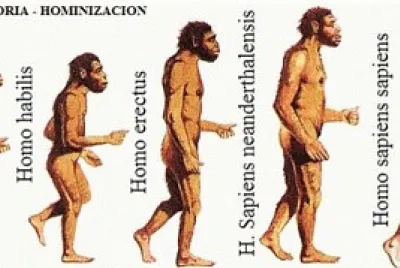 PROCESO DE HOMINIZACION