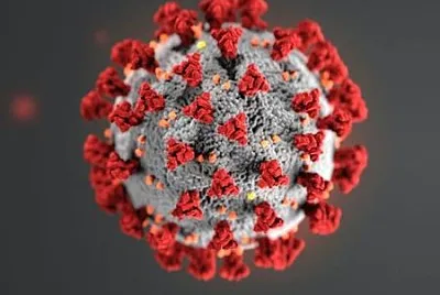 coronavÃ­rus jigsaw puzzle