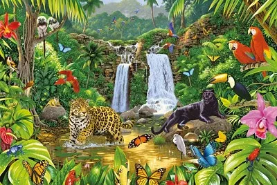 Los seres vivos y el medio