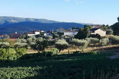 פאזל של NATURALEZA
